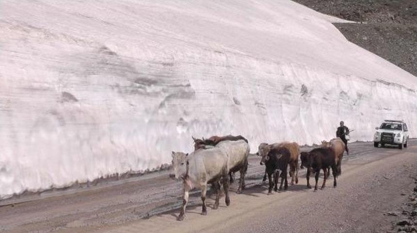 Muş'ta 3 Metrelik Kar Yığınını G&ouml;renler Şaşırıyor