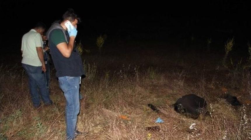 Kayıp Alzheimer Hastası Yaşlı Adam Tarlada &Ouml;l&uuml; Bulundu