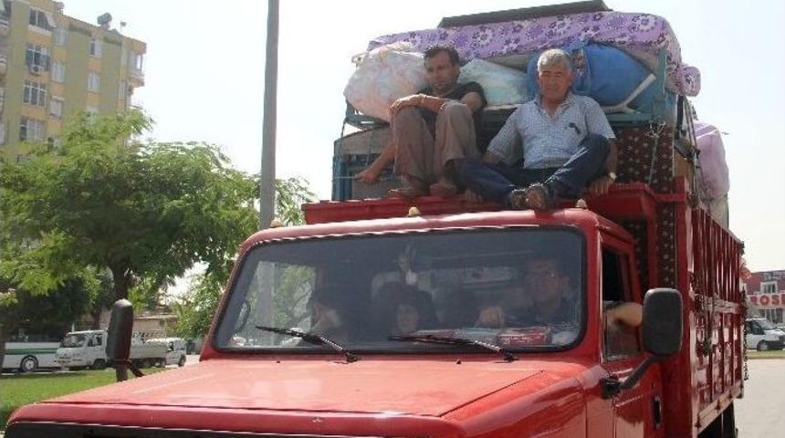 Tehlikeli Taşımacılık