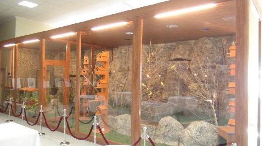 &Uuml;niversite &Ouml;ğrencilerinden 'doğal Kuş Cenneti'