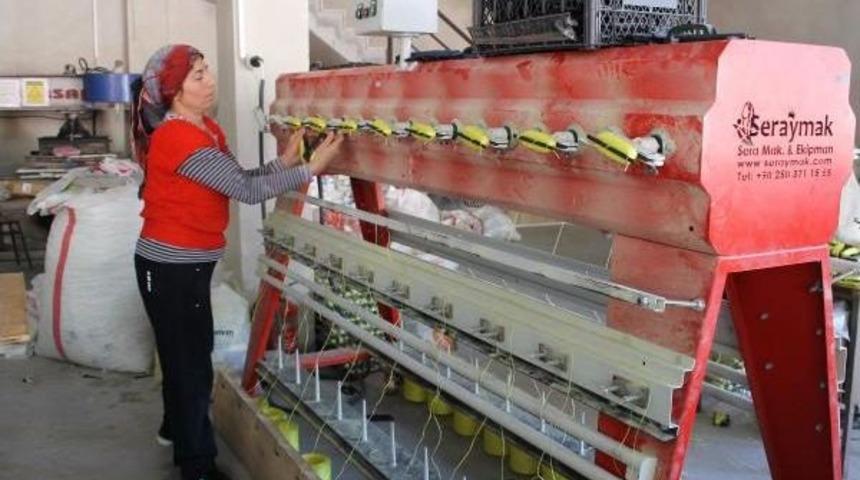 S&ouml;ke U&ccedil;urtmaları Semaları S&uuml;sl&uuml;yor