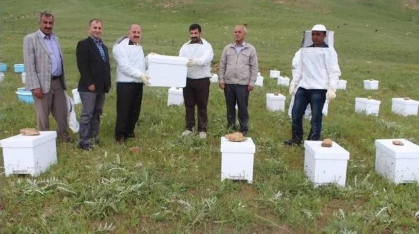Hakkarı&rsquo;de Ceviz Fıdanı Dağıtımı