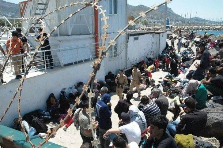 Muğla Açıklarında 217 Kaçak Yakalandı G5