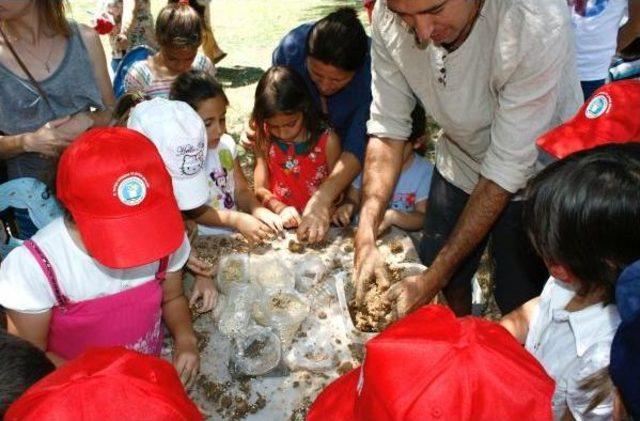 Oyuncak Şenliğinde 'tohum Topu' Heyecanı