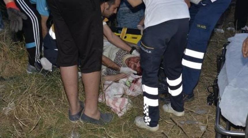 Cip Ile Kamyonet &Ccedil;arpıştı: 5 &Ouml;l&uuml;, 3 Yaralı (2)