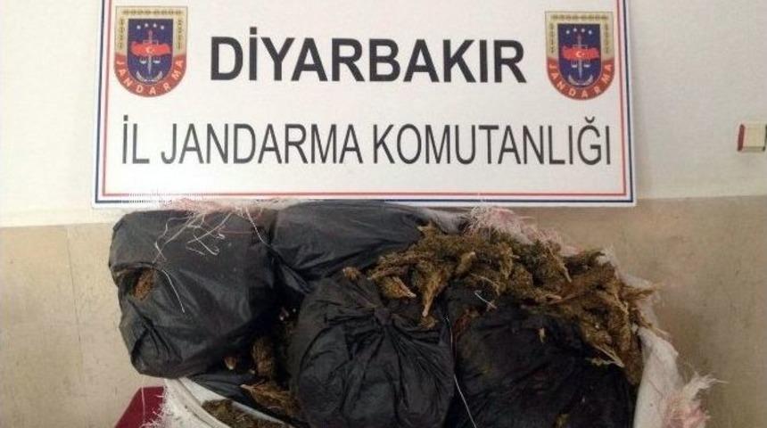 Diyarbakır&rsquo;da 30 Kilogram Esrar Ele Ge&ccedil;irildi