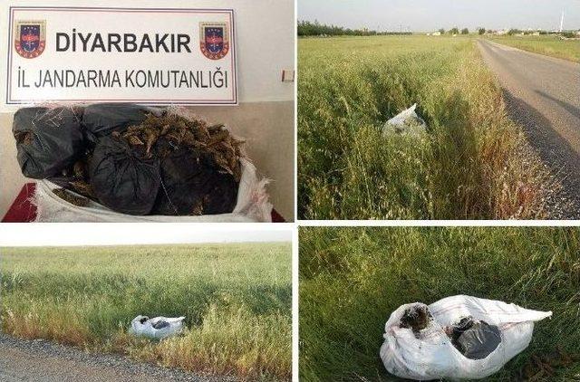 Diyarbakır’da 30 Kilogram Esrar Ele Geçirildi