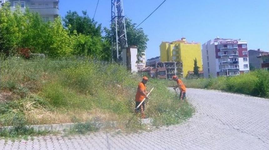 Belediyeden Yabani Ot Temizliği