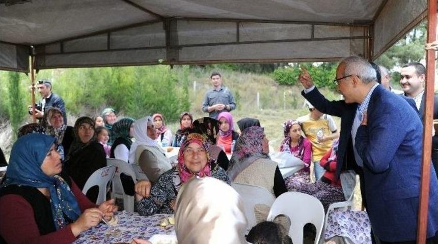 Elvan Sorunlarla Tek Tek İlgileniyor