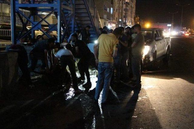 Başıboş Gezen İnek Kazaya Neden Oldu: 1 Yaralı 1