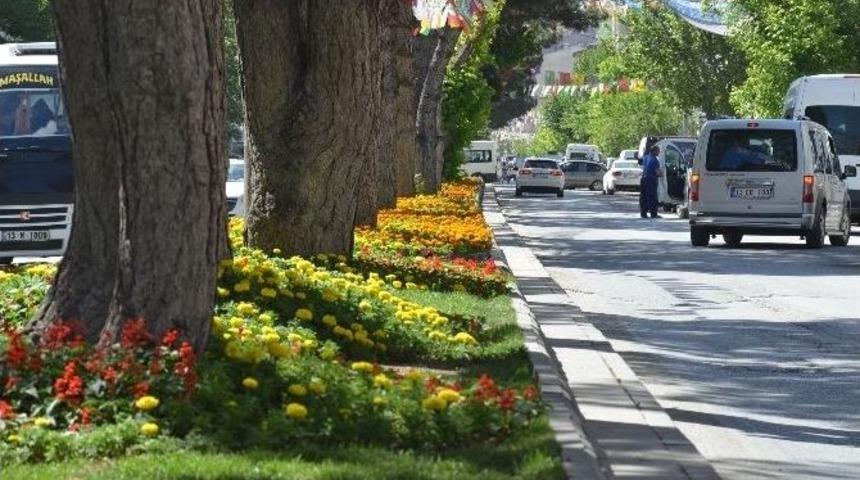 Tatvan &Ccedil;i&ccedil;eklerle Renkleniyor