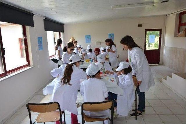 Mikro D&uuml;nyaya Yolculuk Etkinliği Başladı 1