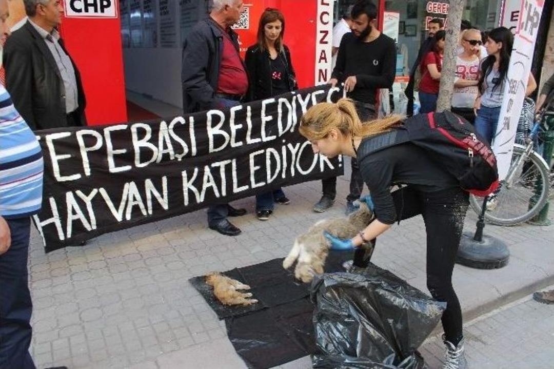 Eskişehir&rsquo;de Hayvan Mezarlığı İddiası
