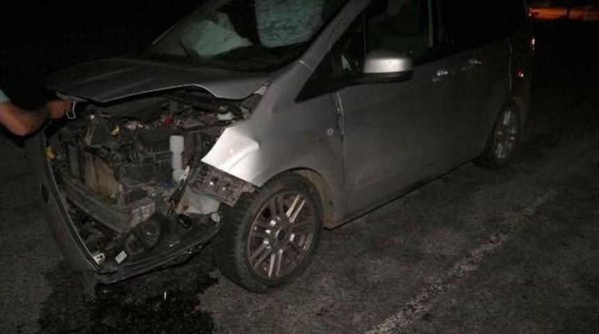 S&uuml;r&uuml;ye Dalan Otomobil 18 Koyunu Telef Etti