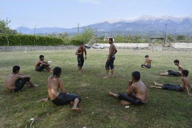 Seydikemer Halk Eğitim Başpehlivan Yetiştiriyor 2