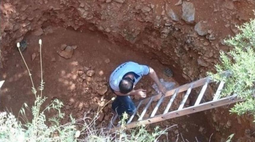 Kuyuda Mahsur Kalan Kaplumbağaları Kurtardılar