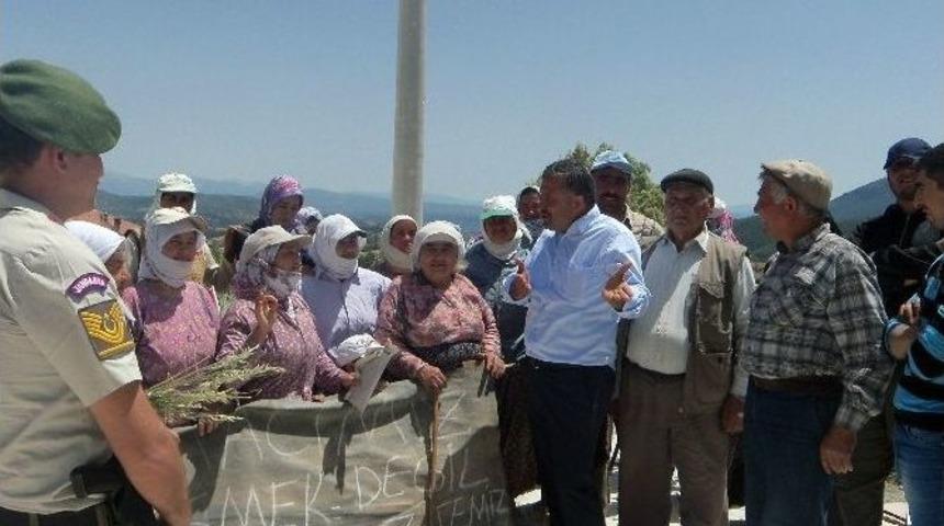 Kadınların Fendi, Belediyeyi Yendi