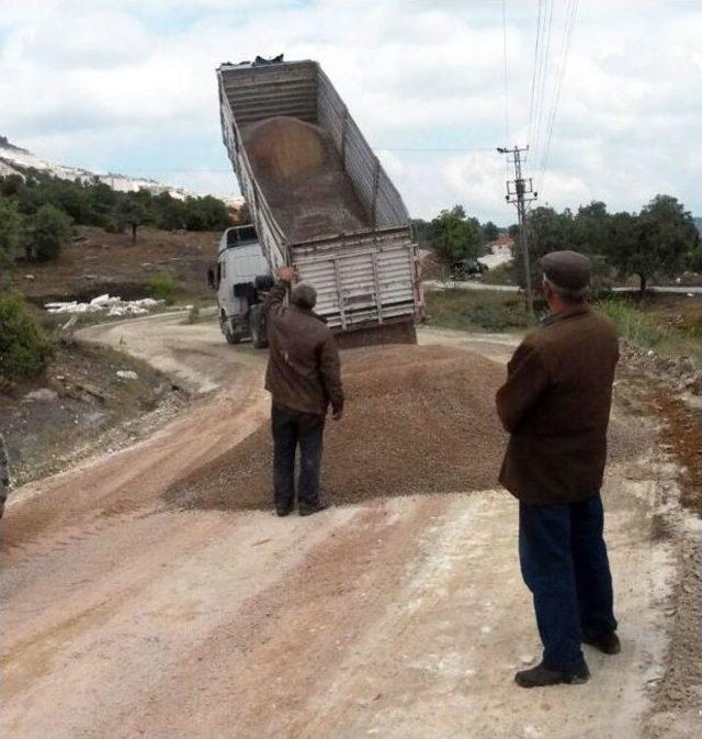 Kadınların Fendi, Belediyeyi Yendi