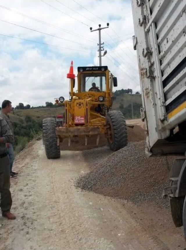 Kadınların Fendi, Belediyeyi Yendi