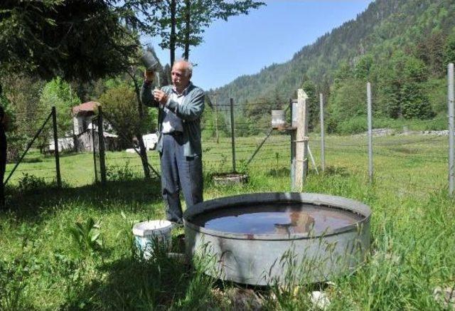 Meteorolojinin Kapattığı Istasyonu Işleten Rizeli: Yağış Miktarındaki Düşüş Araştırılsın