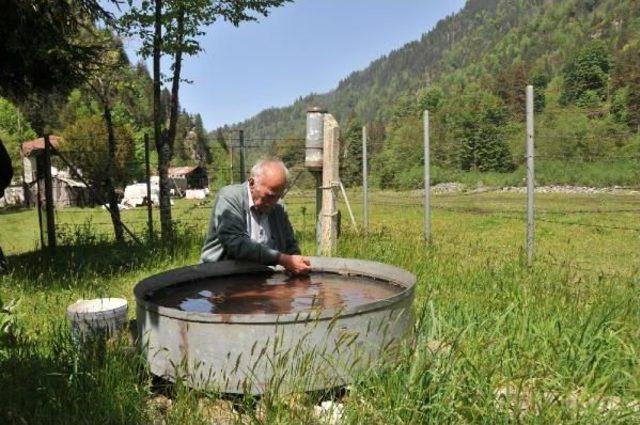 Meteorolojinin Kapattığı Istasyonu Işleten Rizeli: Yağış Miktarındaki Düşüş Araştırılsın