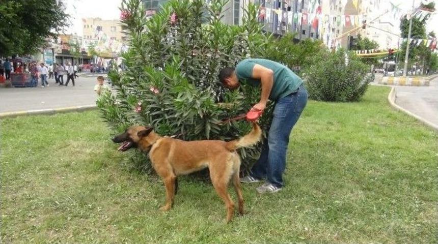 Batman&rsquo;da Hdp&rsquo;nin Mitingi &Ouml;ncesi Geniş G&uuml;venlik &Ouml;nlemi