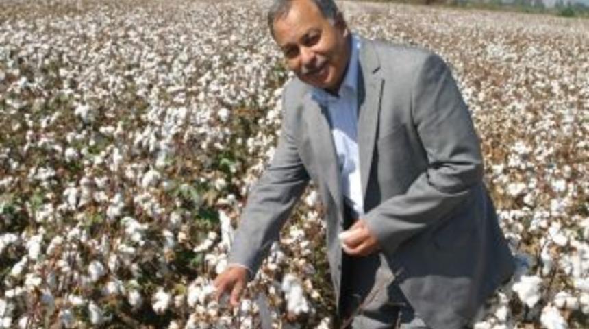 S&ouml;keli &Uuml;reticiden Pamukta Stopaj Kesintisine Tepki