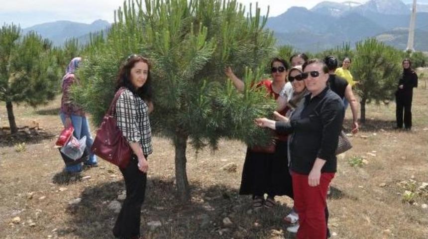 &Ouml;zel &Ccedil;ocukların Annelerinden 'ağa&ccedil;lar Kesilmesin' Eylemi