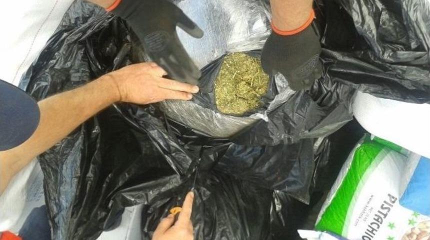 Zehir Tacirlerinin Planını &ldquo;narkotik K&ouml;pekler&rdquo; Bozdu