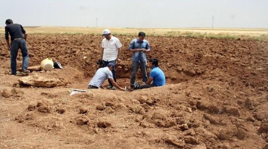 Nusaybin&rsquo;de Tun&ccedil; D&ouml;nemine Ait Mezar Bulundu
