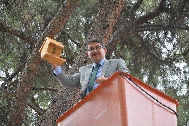 Kuşların Yuvasını Şehzadeler Yaptı 1