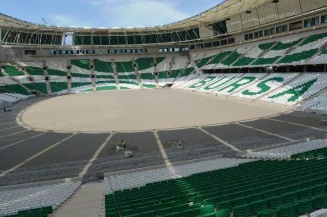 Timsah Arena'da Sıra Çime Geldi