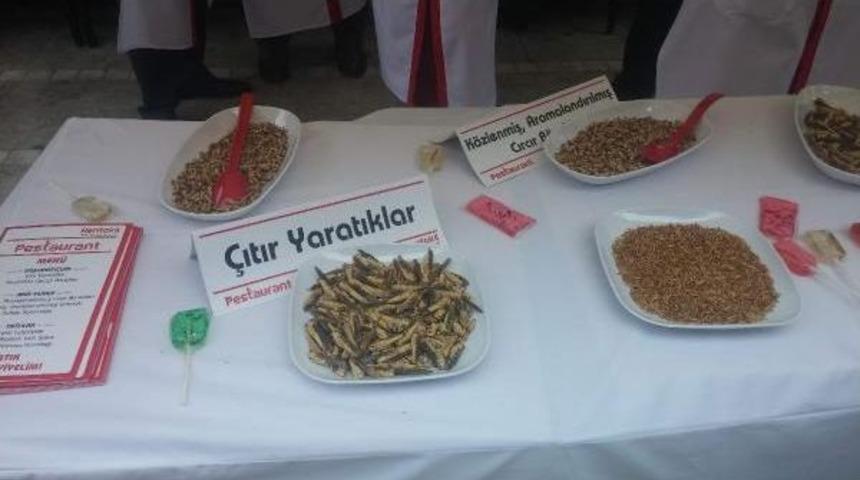 Kadık&ouml;y'de B&ouml;cek Ikramı G&ouml;renleri Şaşırttı