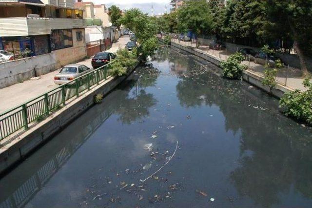 Kurbağalıdere, Marmara'ya Zehir Saçıyor.