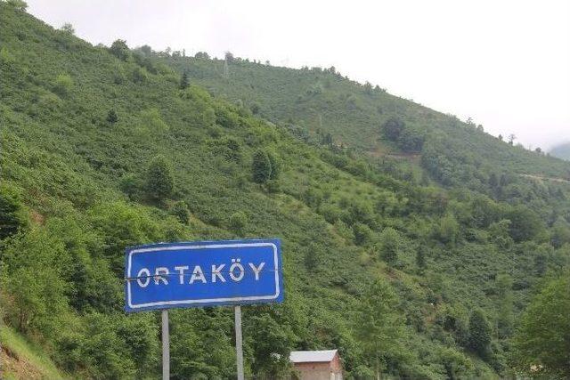 Giresun&rsquo;da Şarbon Vakası 1