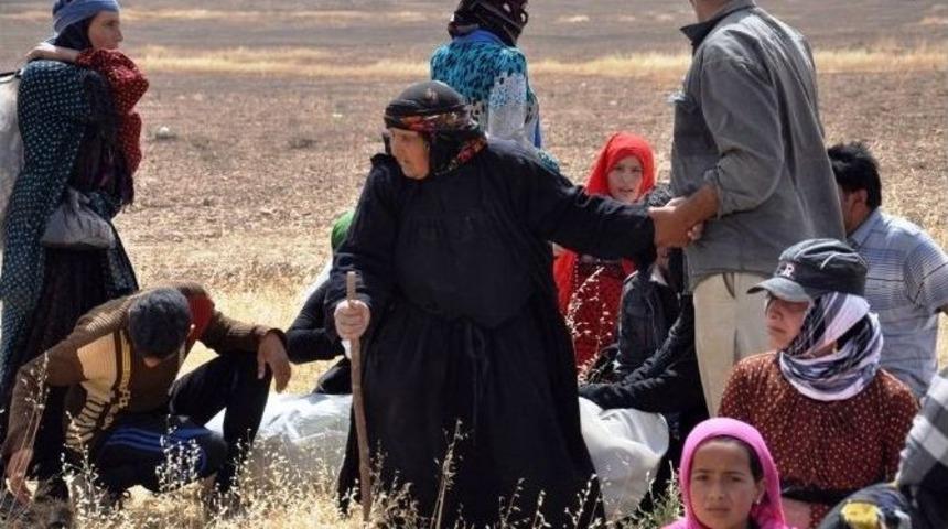 Sınırda Bekleyen Suriyeliler Minib&uuml;sle Ak&ccedil;akale&rsquo;ye Getirildi