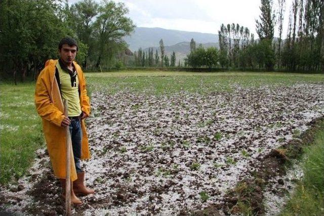 Oltu’da Dolu Yağışı Zarara Yol Açtı