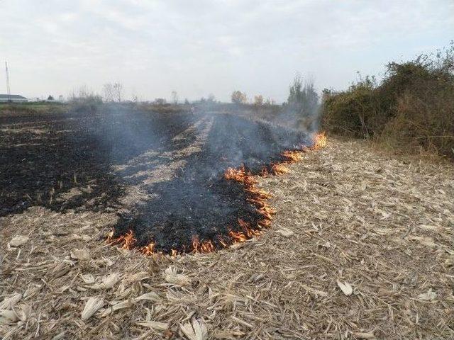 Anız Yakan &Ccedil;ift&ccedil;ilere Ceza Kapıda 2