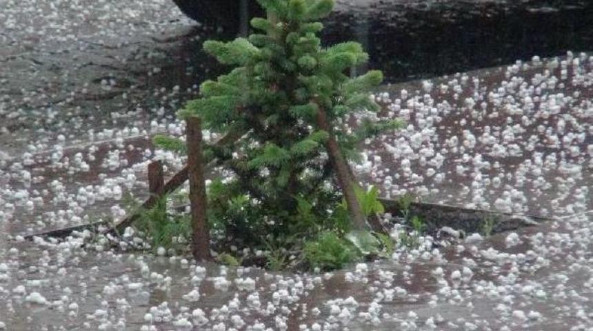 Kars'a Fındık B&uuml;y&uuml;kl&uuml;ğ&uuml;nde Dolu Yağdı
