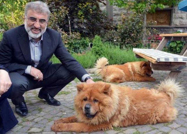 Bakan Yıldız: Se&ccedil;im G&uuml;n&uuml; G&ouml;lbaşı nda N&ouml;bet Tutacağım 3