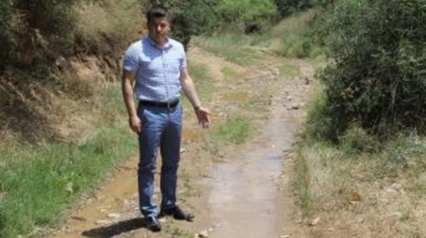 Sulamada İsraf Eden &Uuml;reticiye Ceza