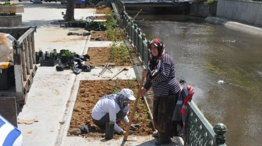 Ak&ccedil;akoca&rsquo;da &Ccedil;i&ccedil;eklendirme &Ccedil;alışmaları S&uuml;r&uuml;yor