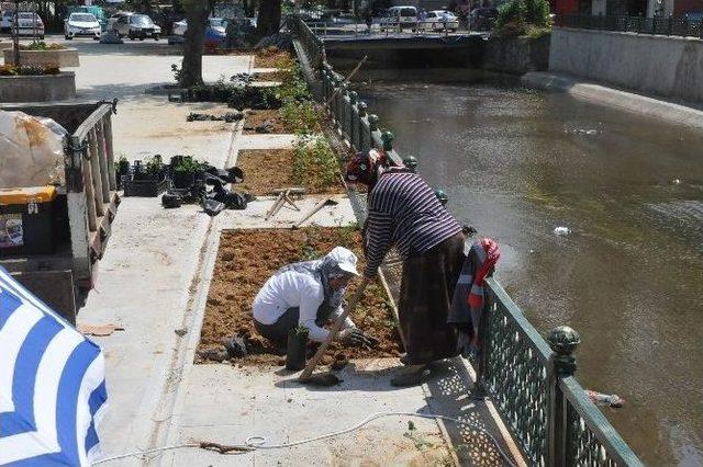 Akçakoca’da Çiçeklendirme Çalışmaları Sürüyor