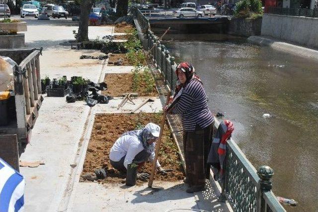 Akçakoca’da Çiçeklendirme Çalışmaları Sürüyor