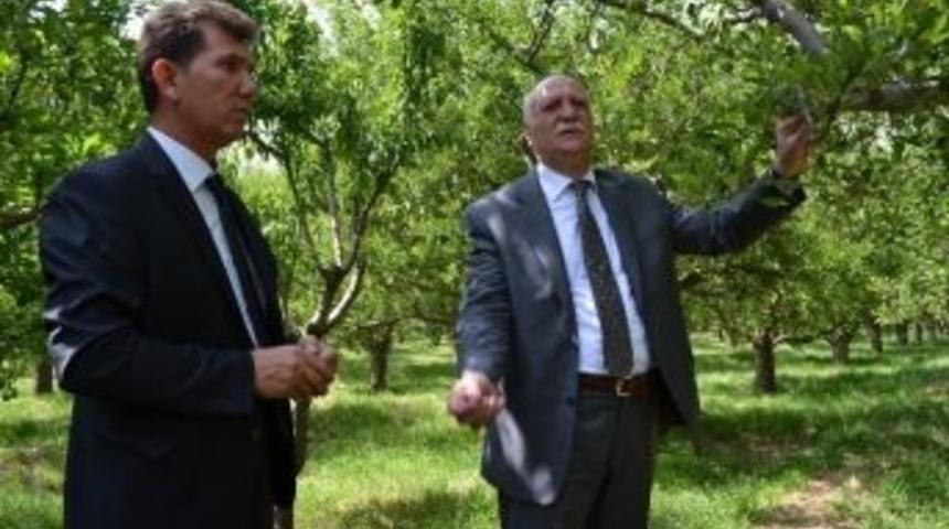 Niğde Ziraat Odası Başkanı Veli Kenar;