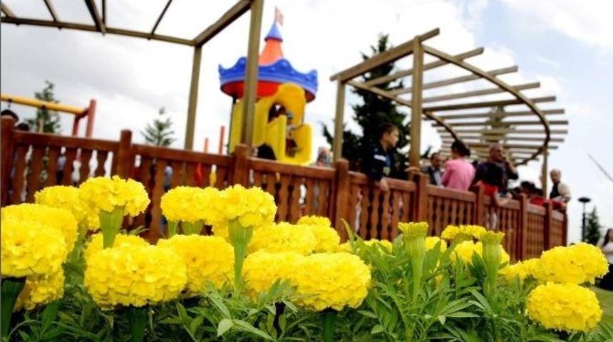 Meram&rsquo;da &Ccedil;i&ccedil;eklendirme &Ccedil;alışmaları