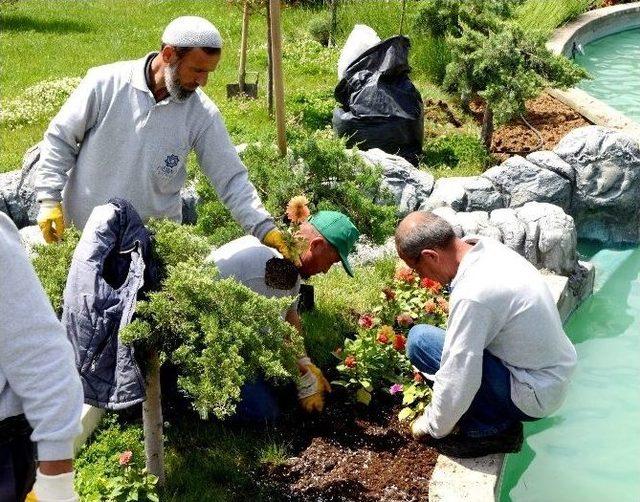 Meram&rsquo;da &Ccedil;i&ccedil;eklendirme &Ccedil;alışmaları 1