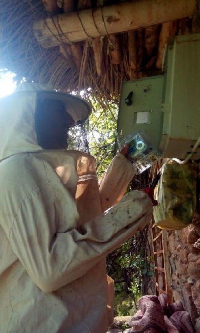 Vedaş Ekiplerinin Arılarla M&uuml;cadelesi 1