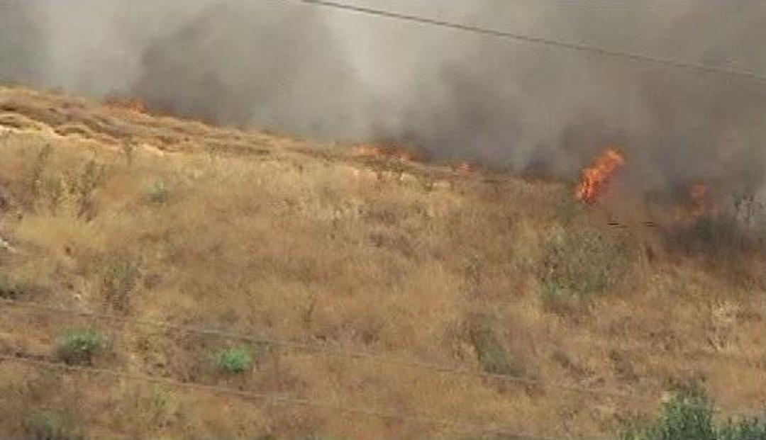Buğday Tarlasındaki Yangın 20 D&ouml;n&uuml;ml&uuml;k Alanı K&uuml;l Etti