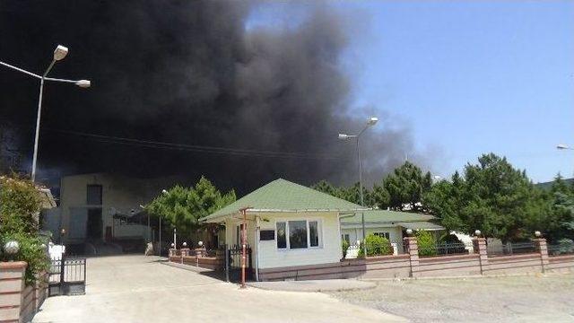 Silivri’deki Fabrika Yangınına Müdahale Sırasında Bir İtfaiye Eri Öldü